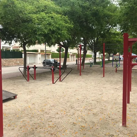 Palmeras פגו